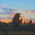 Sunsetcedars3